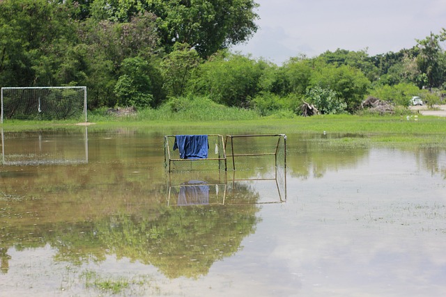 这则消息的 这则消息的