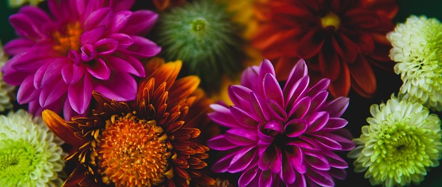 海港vs沧州首发：四外援PK单外援 武磊徐新先发.