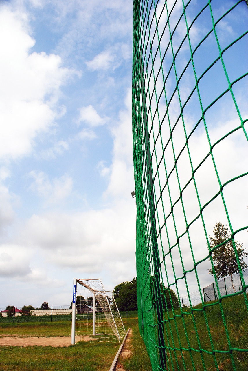 他的竞技实 他的竞技实