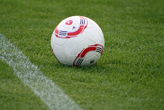 迷关注的焦 迷关注的焦