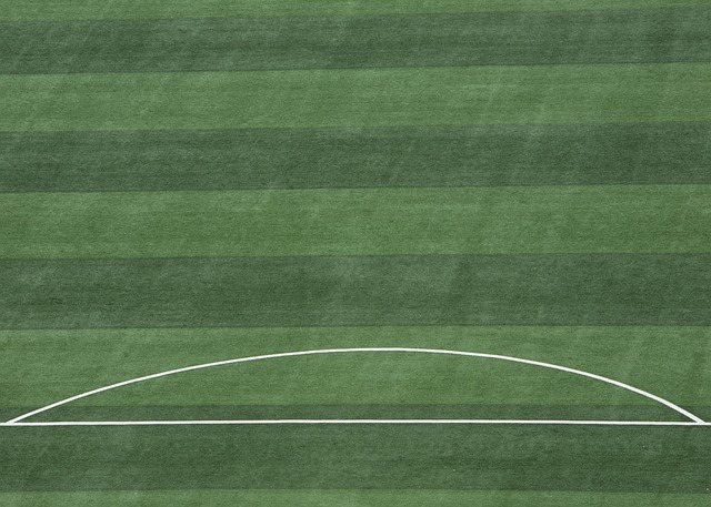 廖三宁成为 廖三宁成为