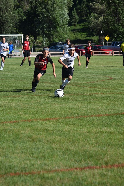 己队伍难得 己队伍难得