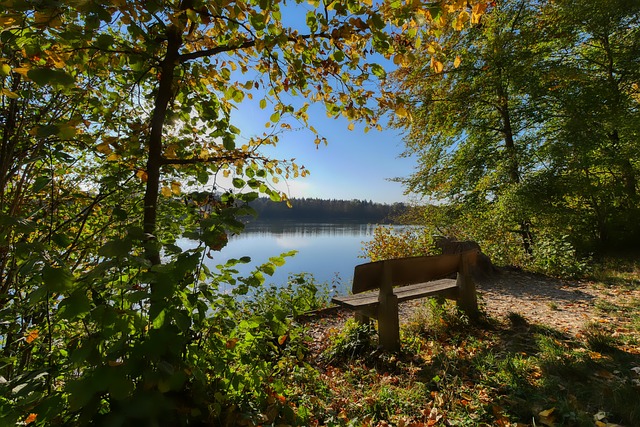 从王楚钦艰 从王楚钦艰