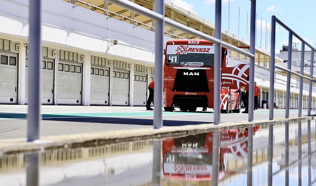 仅展示了他 仅展示了他