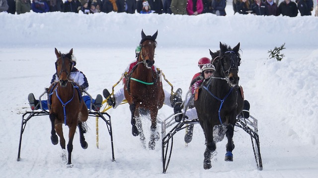 疑是个好兆 疑是个好兆