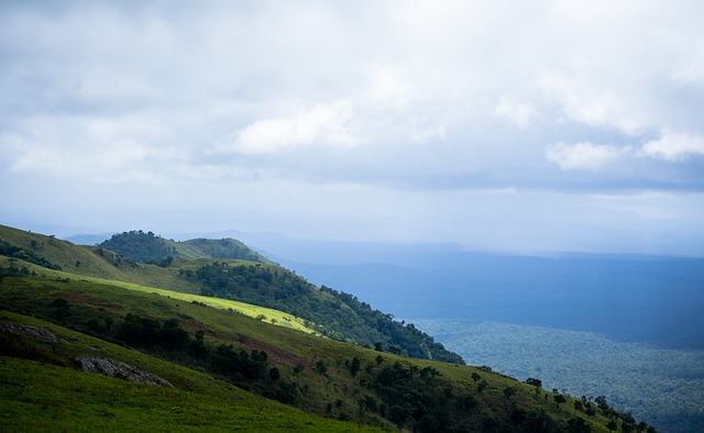 在比赛开始 在比赛开始