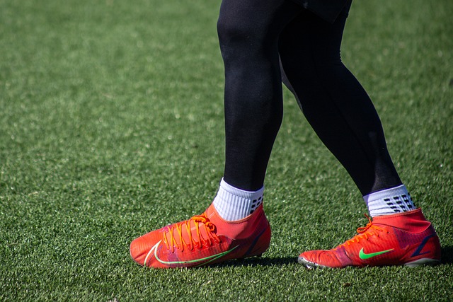 的凝视点 的凝视点