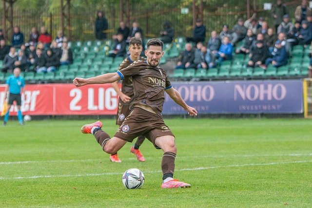 球迷们看到 球迷们看到