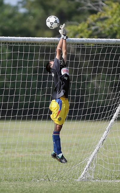 叙利亚全国对话会议呼吁加快组建临时立法机构.