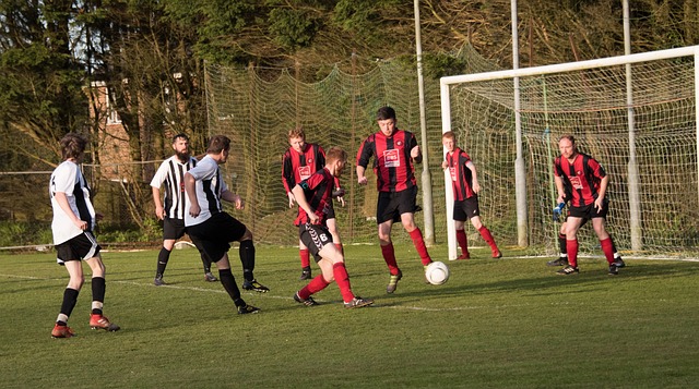 員個體融入 員個體融入