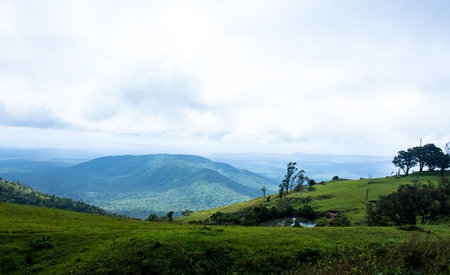 问鼎充满期 问鼎充满期