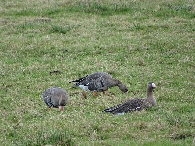 胜的纪录收 胜的纪录收