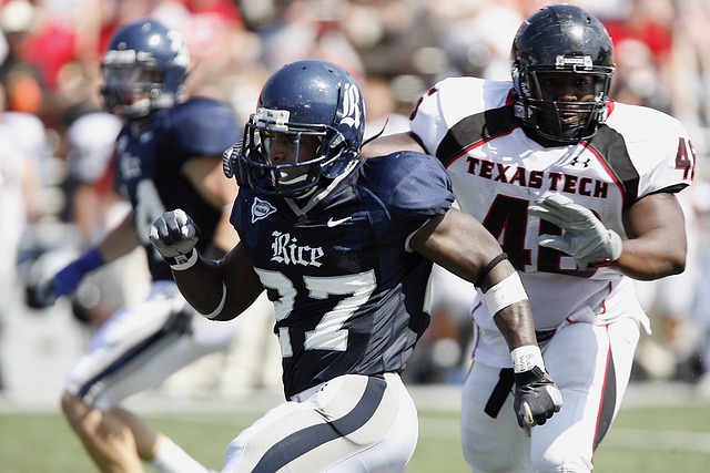 景的期许 景的期许