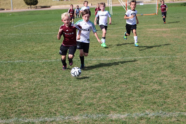 開放日也為 開放日也為