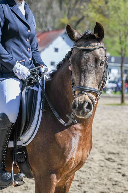 20／21賽季歐冠小組賽第6輪中日德蘭1-1利物浦 薩拉赫閃電破門南野拓實進球被吹.